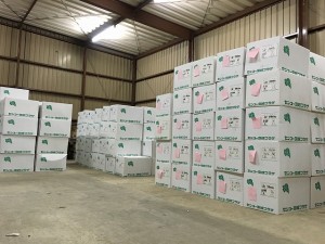 s-010efa613de743b0767eac5031639e0d7af1a7db6a