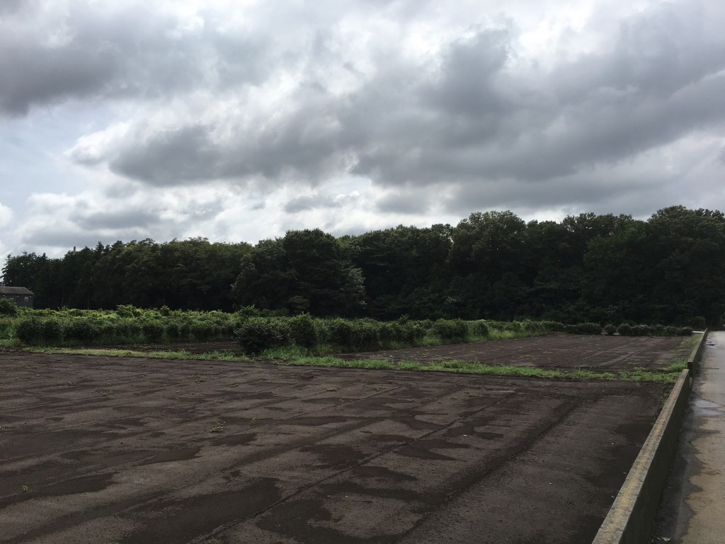 01c28e3f281387fe2277bd10e0bb7715f691ffca8e