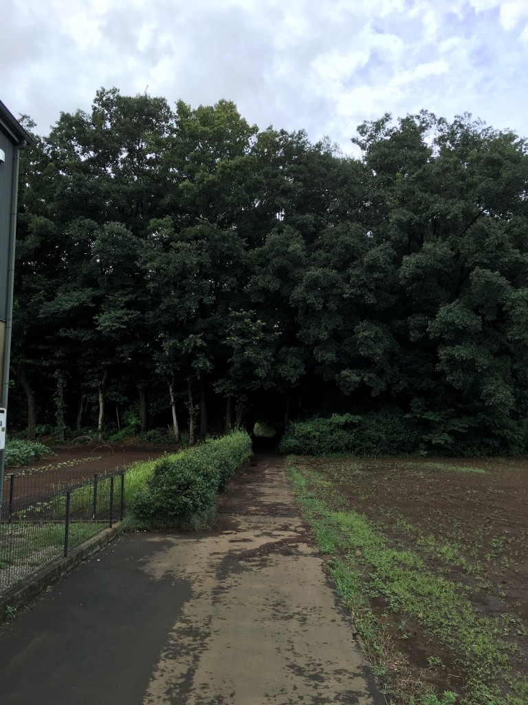 01c3cfe57a50232ce06ebf41e7fd7fdbfaf2354aa7