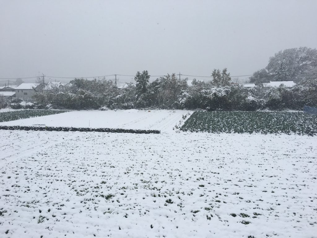 01565fecdc5fa73fd28686308bd4bc1331e409a8b4