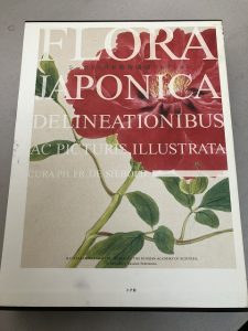 朝霞市で古本買取